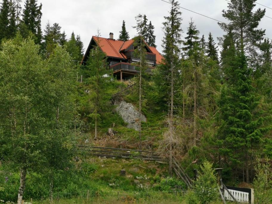 Casa San Gottardo - The Forest House, Etnedal Exterior photo